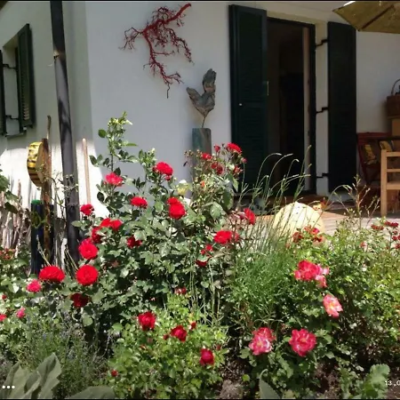 Apartment Haus Frieda *